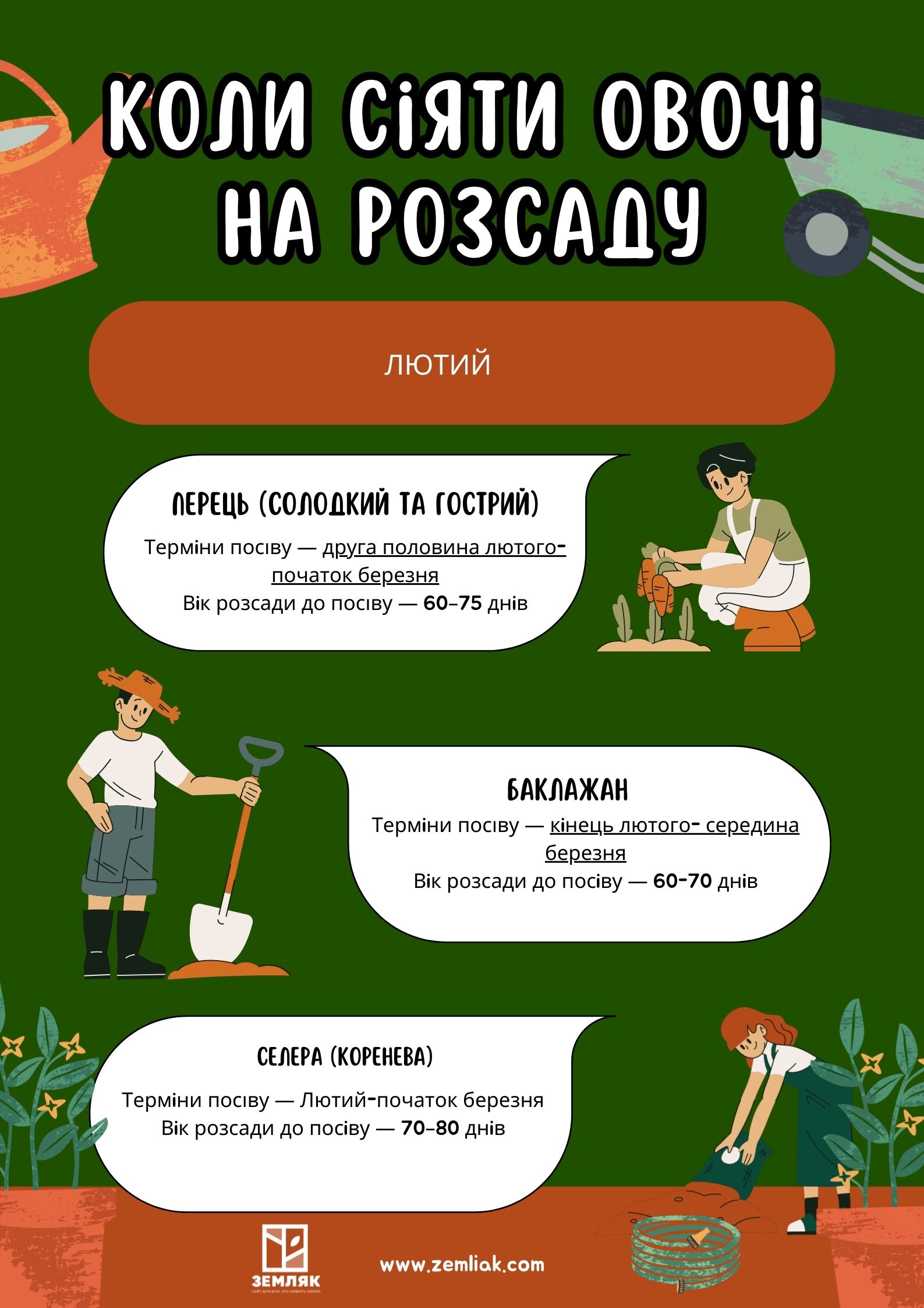 Коли в лютому сіяти овочі на розсаду